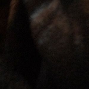 Meet your Posher, Deandre